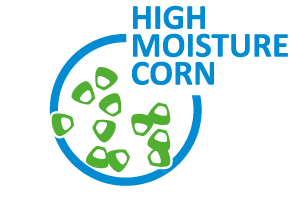 High moisture corn