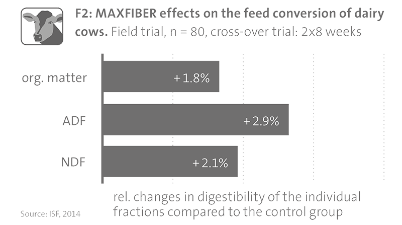 MAXFIBER eng