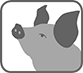 Pikto pig sw