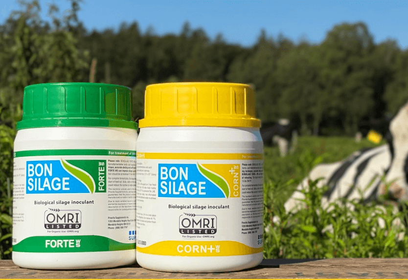 Screenshot 2020 09 03 at 18.07.15 e1600263923921