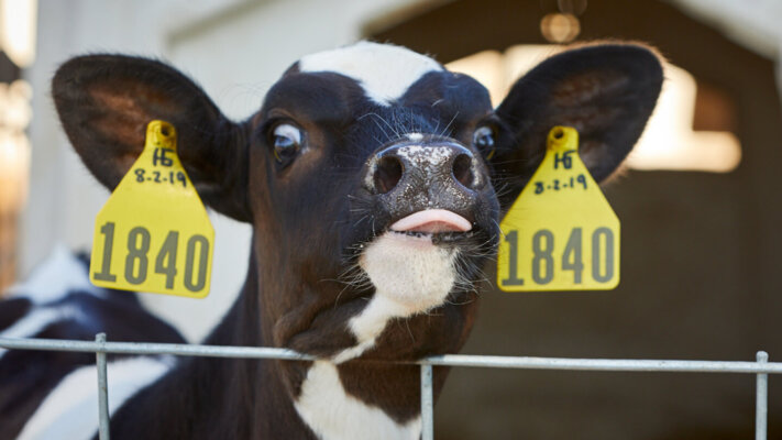 June Fertility News Header 3