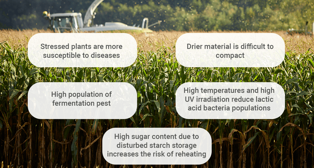 NEWS Graph1 SPEED Drought EN