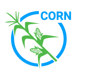 eng corn