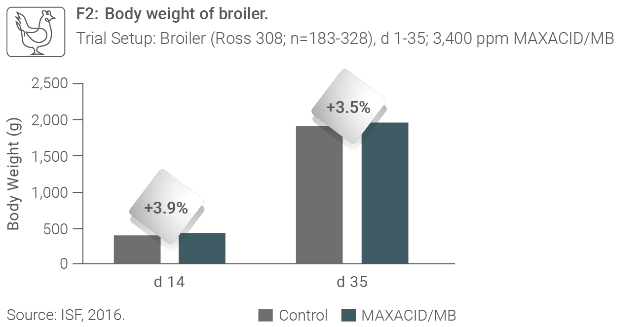 ProvitaSupplements MAXACID F2 Grafik EN Int
