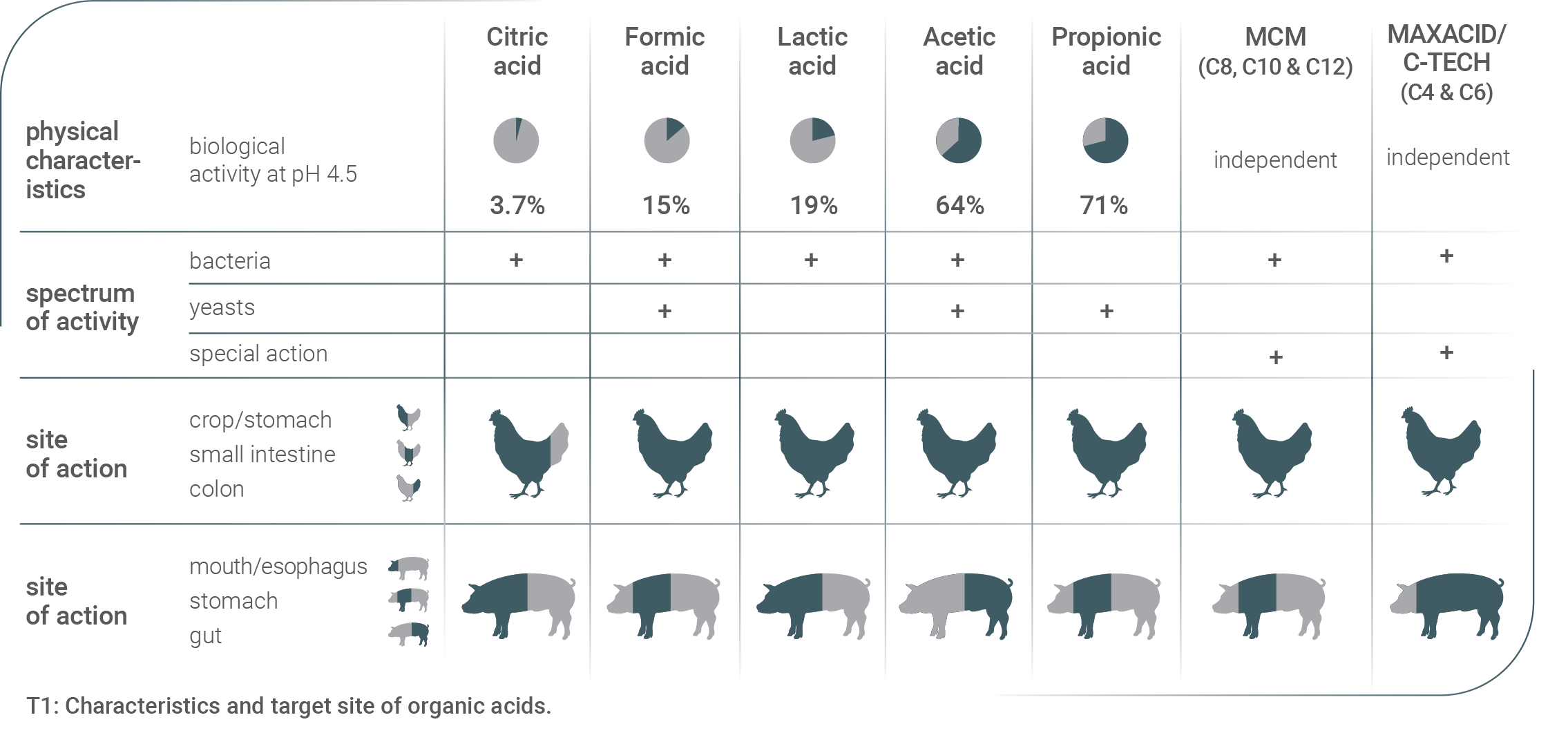 ProvitaSupplements MAXACID T1 EN Int
