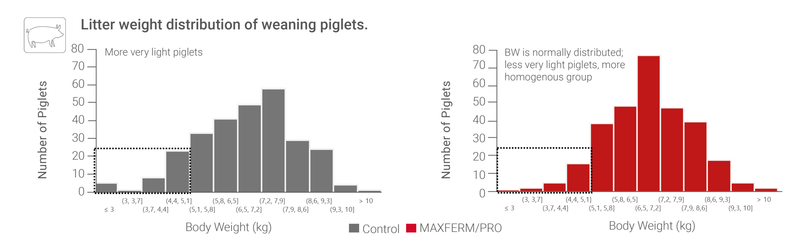 Figure Litter Weight MAXFERM PRO 2026 scaled