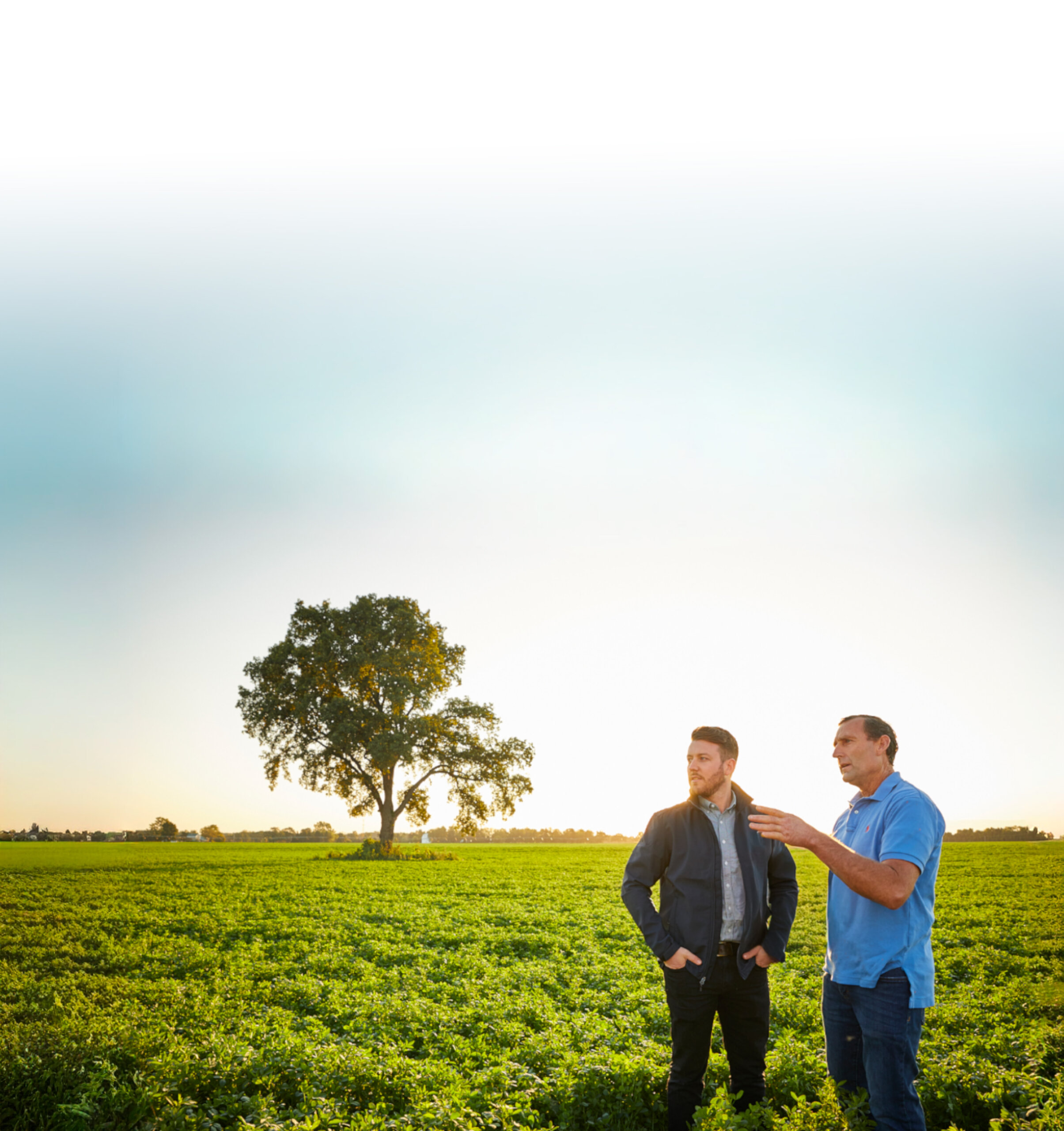 bonsilage website 2026 4000 scaled